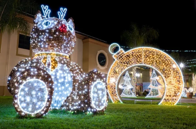 Christmas Light Installation